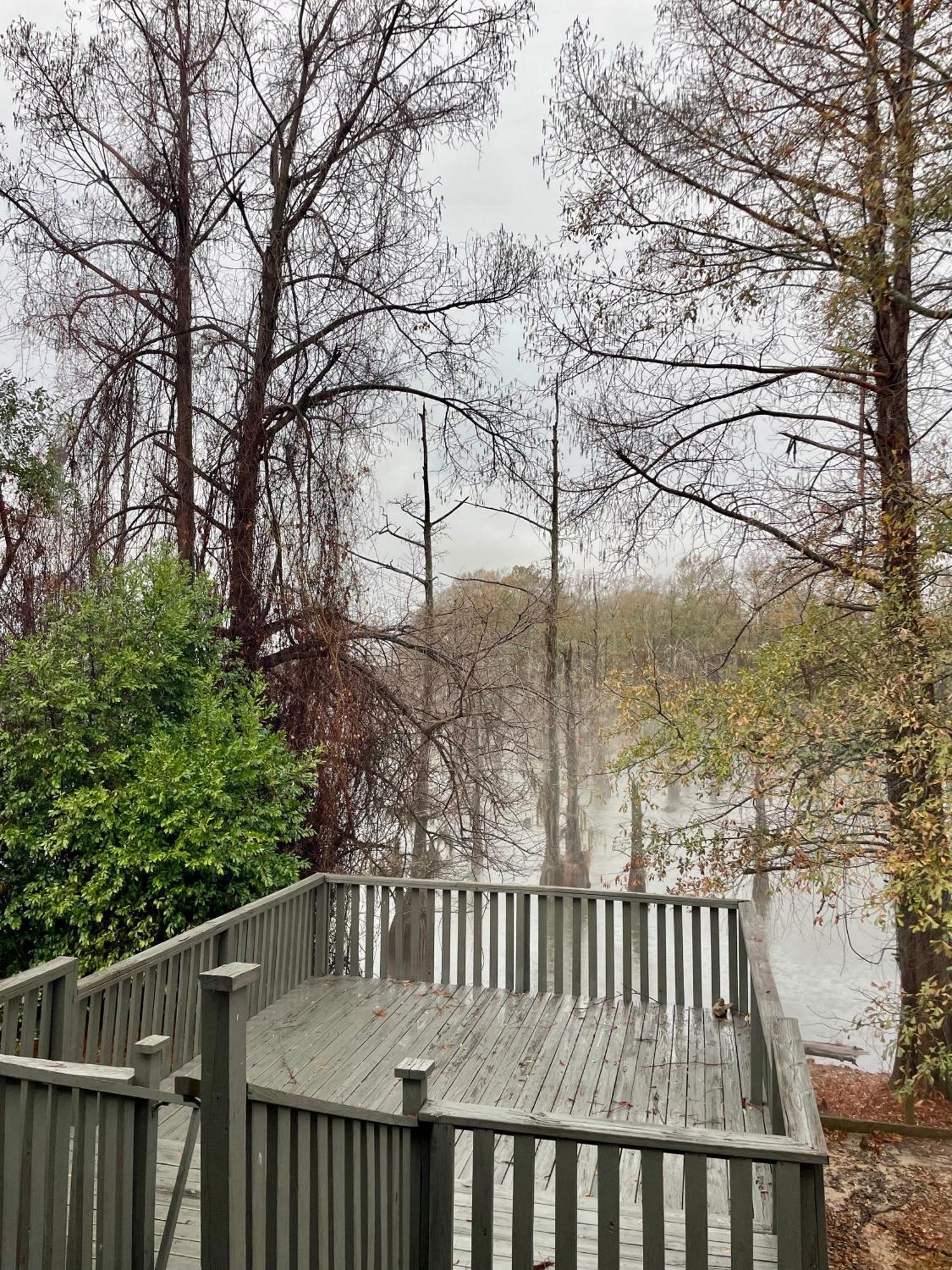 Bayou And Beyond Bayou View Monroe Zewnętrze zdjęcie